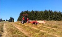 Making Hay 2012