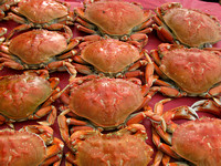 Crabing